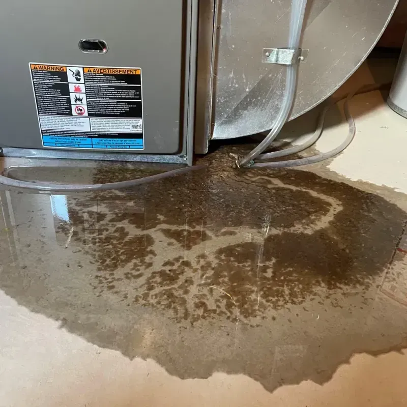 Appliance Leak Cleanup in Lamar, CO